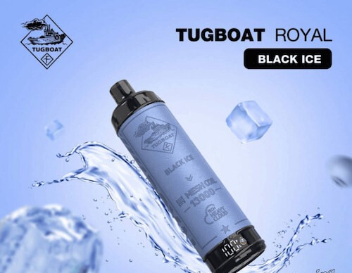 ویپ یکبار مصرف تاگبوت شاه توت یخ 13000 پاف