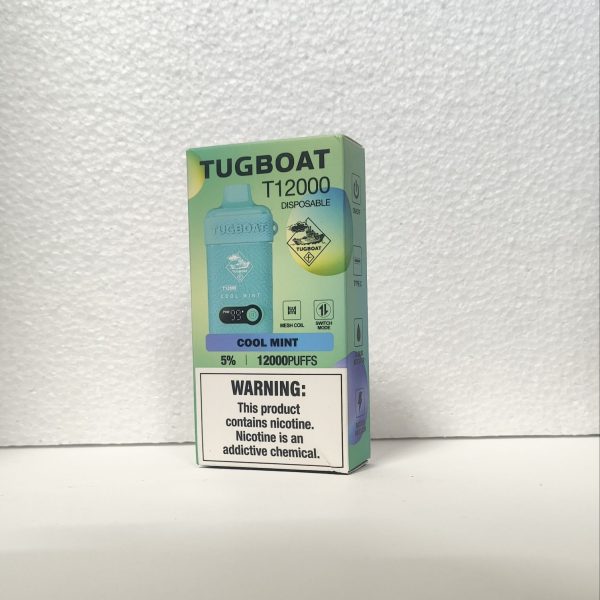 پاد یکبار مصرف تاگبوت نعناع یخ 12000 پاف