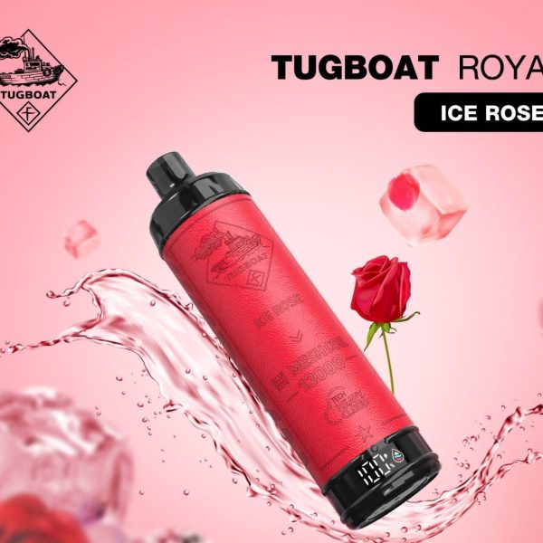 ویپ یکبار مصرف تاگبوت تمشک انگور یخ 13000 پاف