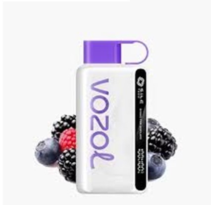 پاد یکبار مصرف ووزل بلورز یخ 12000 پاف