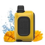 پاد یکبار مصرف اینستا بار ۱۵۰۰۰ پاف انبه مکزیکی یخ / InstaBar 15K Mexico Mango Ice