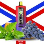ویپ یکبار مصرف تاگبوت رویال پرو 40000 پاف انگور نعنا  | Tugboat Royal Pro 40000 Puffs GRAPE MINT