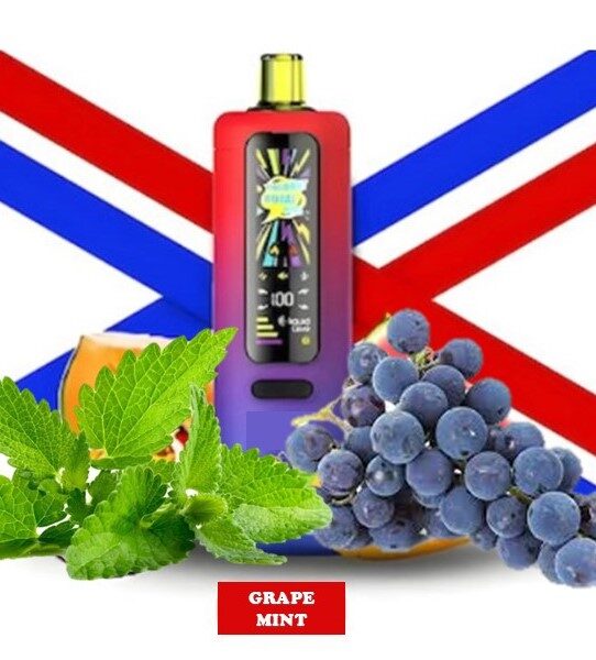ویپ یکبار مصرف تاگبوت رویال پرو 40000 پاف انگور نعنا  | Tugboat Royal Pro 40000 Puffs GRAPE MINT